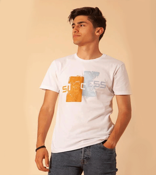 Image hover effect image